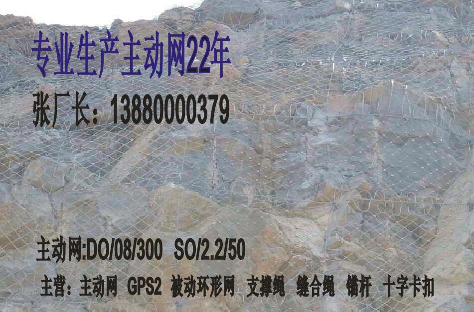 重庆主动防护网，四川质量好的GPS2主动防护网