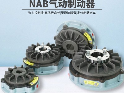 可连续打滑通轴摩擦制动器NAB-10图3